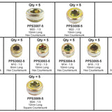 Pipe Plug PIPE PLUG KIT METRIC PPSK3 - Premier