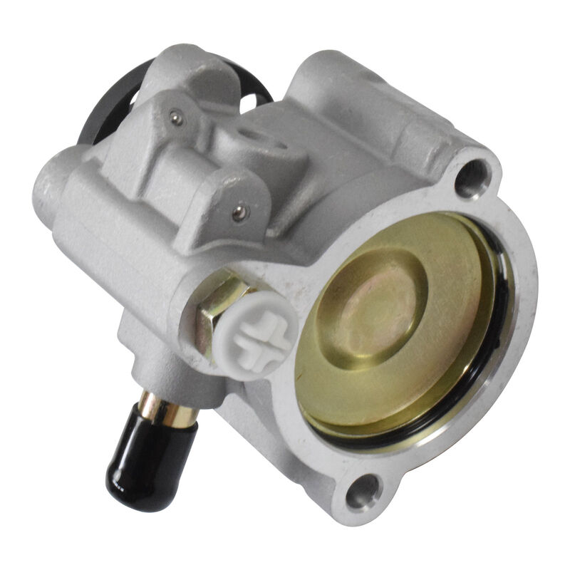 Power Steering Pump Fit For Holden Commodore VS VT VX VU VY Statesman WH WK V6 3.8L - Machter