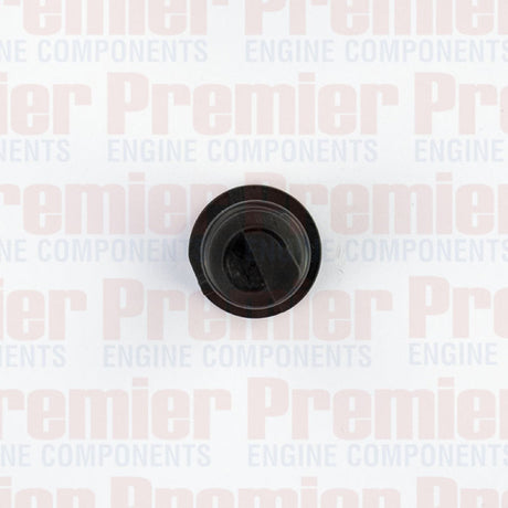Sump Plug S/PLUG PLASTIC AUDI VOLKSWAGEN PSP601 - Premier