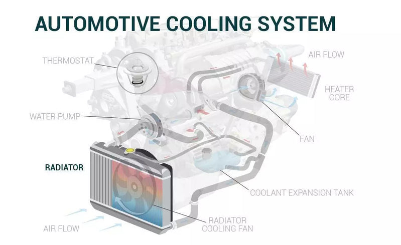 Radiator Fit For BMW 520i 525i 535i E34 730i E32 2.0L 2.5L 3.0L 3.4L M20 M50 M30 1986-1996 17111468080 RAD-BMW002 - Machter