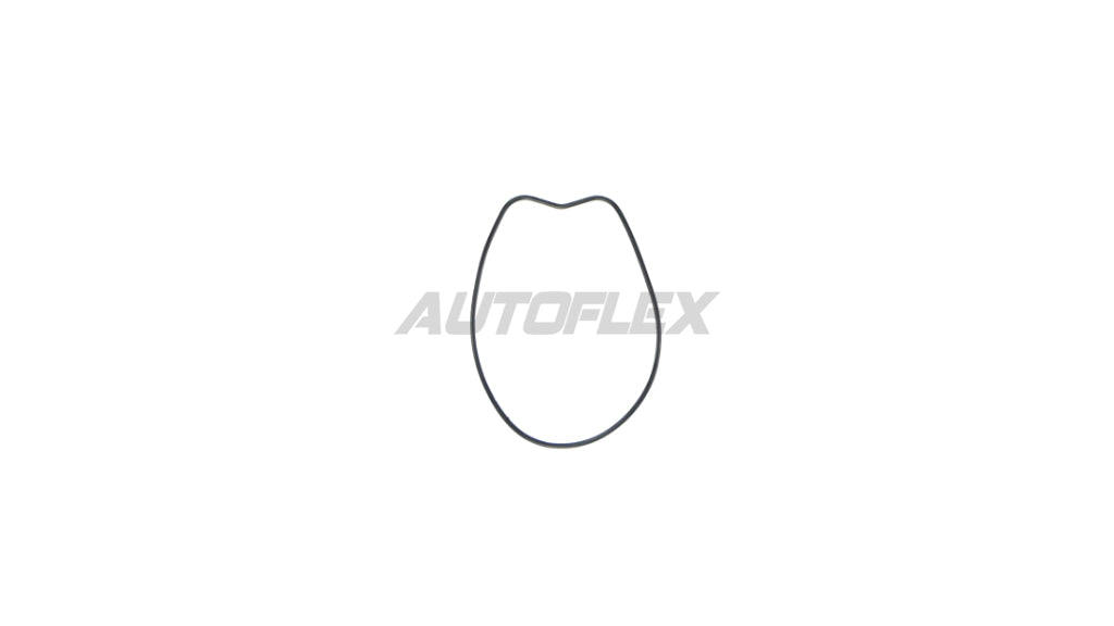 Oil Pump Gasket RG881 - AUTOFLEX