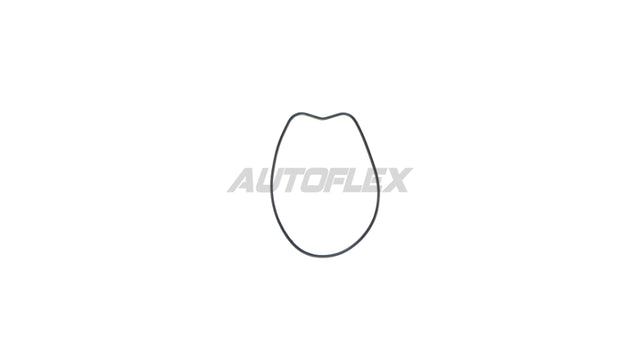 Oil Pump Gasket RG881 - AUTOFLEX