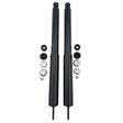 Machter 2 x Rear Shock Absorbers Fit For Holden Commodore VB VC VH VK VL VN VR VS Sedan RSA-HLN010 - Machter
