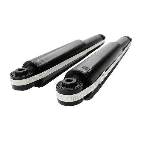 Machter 2 x Rear Shock Absorbers Fit For Holden GMH Captiva 5 CG 7 CG CX LX SX 2006-ON RSA-HLN012 - Machter