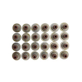 24 Pcs Engine Valve Stem Seals Fit For Ford Fairlane Fairmont Falcon BA BF FG Territory SX SY SZ V6 4.0L Petrol 2004-2016 SEAL-001-24PCS - Machter