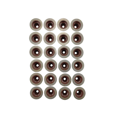 24 Pieces Engine Valve Stem Seals Fit For Ford Fairlane Fairmont Falcon BA BF FG Territory SX SY SZ V6 4.0L Petrol 2004-2016 - Machter