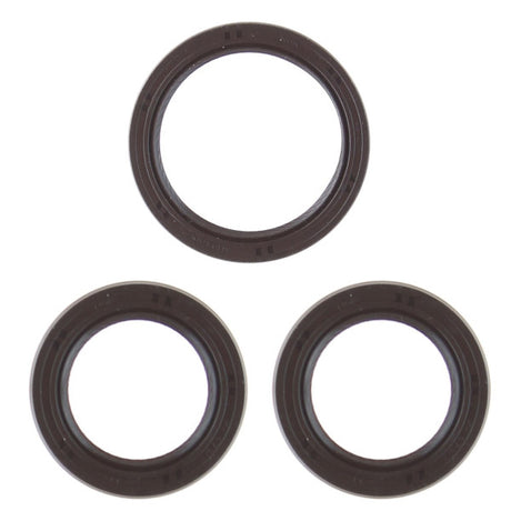 Timing Belt Seal Kit HOLDEN 6VD1 DOHC 24V SK076 - Permaseal