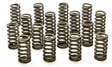 Valve Spring FORD 4.6l 2V SOHC PAC-1214 - Racing Springs | Universal Auto Spares