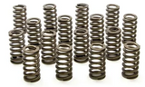 Valve Spring FORD 4.6l 2V SOHC PAC-1214 - Racing Springs | Universal Auto Spares