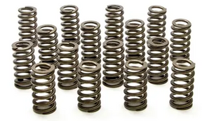 Valve Spring FORD 4.6l 2V SOHC PAC-1214 - Racing Springs | Universal Auto Spares