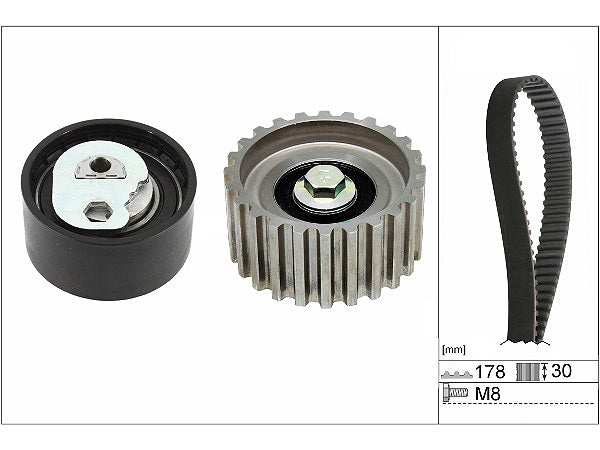 Fiat F1AE0481 Timing Belt Kit T1621AKT - Austral | Universal Auto Spares