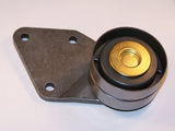 Fiat Timing Belt Idler Assembly TBT4811 - Austral | Universal Auto Spares