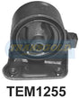 Engine Mount Fits Mitsubishi Magna TR, TS Right Hand Auto TEM1255 - Transgold