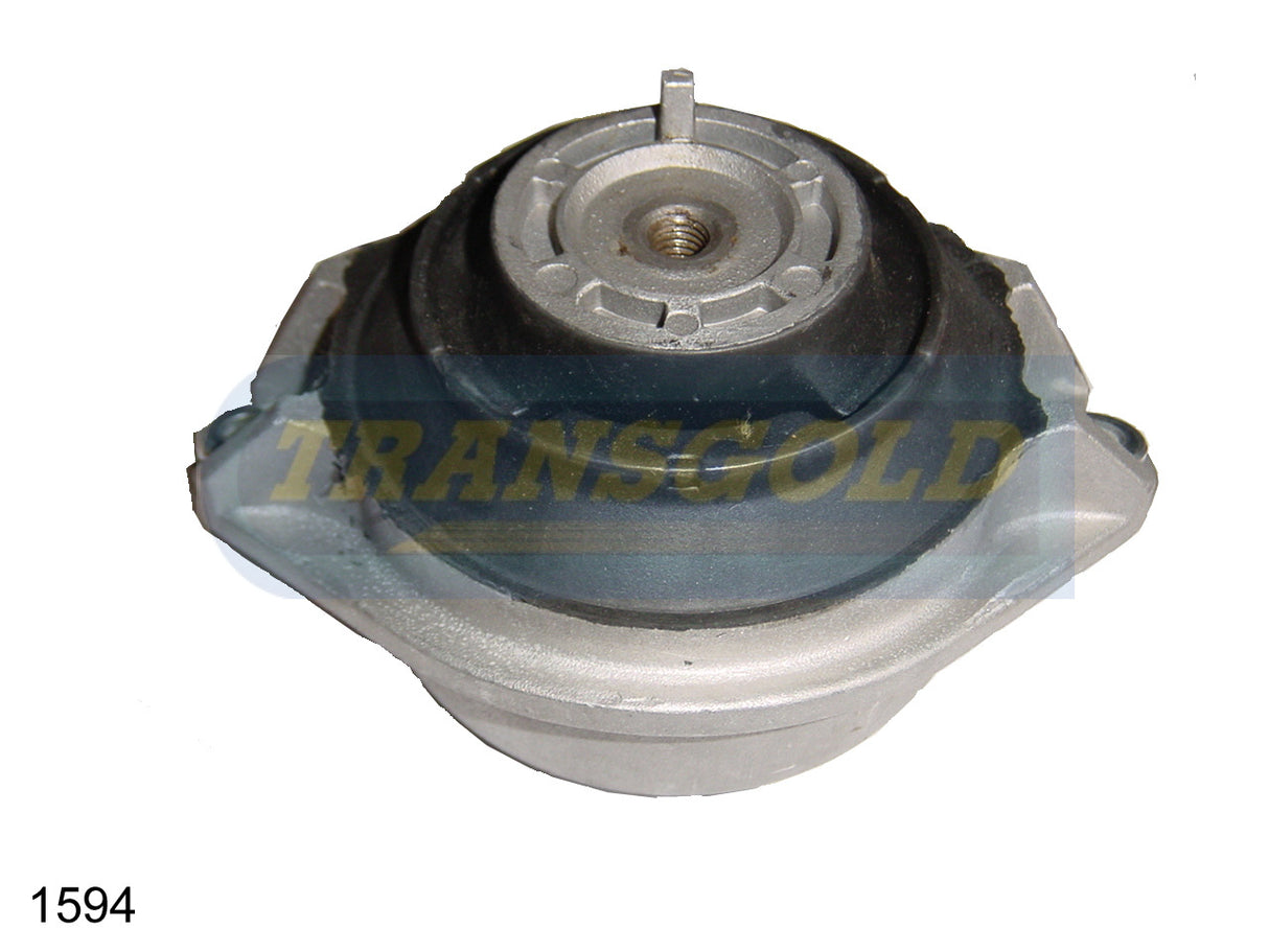 Engine Mount Hydro Fits Mercedes Benz S-Class (W140) Front RH TEM1594 - Transgold