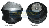 Engine Mount Hydro Fits Mercedes Benz (W 202, R170, C208) Front-LH TEM1596 - Transgold