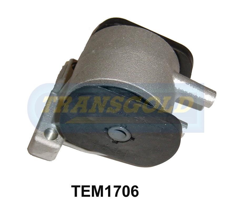 Engine Mount Fits Hyundai Getz TB 9/02-9/05 4CYL. 1.3L, 1.5L Auto/Man. LH Side TEM1706 - Transgold