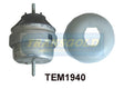 Engine Mount Hydro Fits Audi A4, A6, VW Passat, 95-05, Front 2.4L,2. TEM1940 - Transgold