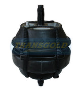 Engine Mount Hydro Fits Ford Falcon BA/BF 5.4L V8 FLH/RH TEM2358H - Transgold