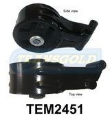 Engine Mount Fits Saab 9-3 2002-ON Rear 1.9 TID TEM2451 - Transgold