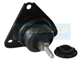 Engine Mount Fits Hyundai Elantra HD 06-ON RH AT/MT Hydro TEM2467 - Transgold