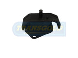Engine Mount Fits Hyundai Terracan 2.9, 3.5L 01-08 LH/RH TEM2471 - Transgold
