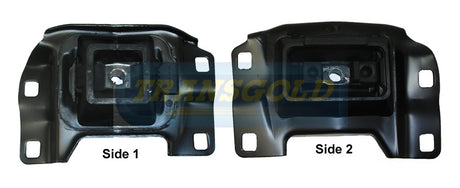 Engine Mount Fits Ford Focus 05/05-09 2.0L LH AT/MT TEM2494 - Transgold | Universal Auto Spares