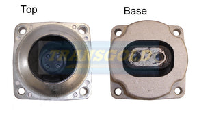 Engine Mount Fits Chrysler 300C 05-10 Rear Auto TEM2797 - Transgold