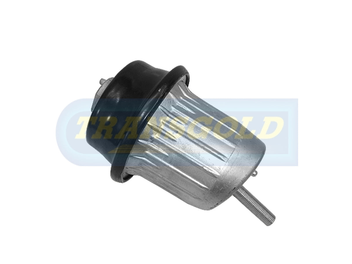 Engine Mount Fits Lexus IS250 Front Left&Right TEM2818 - Transgold