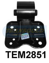 Engine Mount Fits Kia K2900 Rear TEM2851 - Transgold
