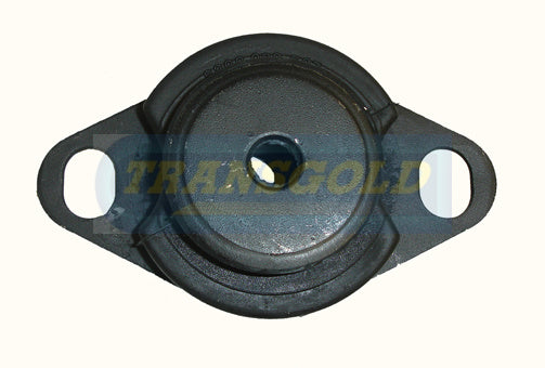 Engine Mount Fits Renault Kangoo Left TEM2857 - Transgold
