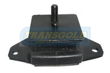 Engine Mount Fits Landcruiser HDJ100 Front Mount TEM2962 - Transgold