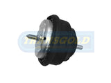 Engine Mount Hydro Fits Meyle BMW E46 Front LH/RH TEM3006 - Transgold