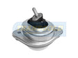 Engine Mount Hydro Fits Meyle BMW E83 X3 Front RH TEM3008 - Transgold