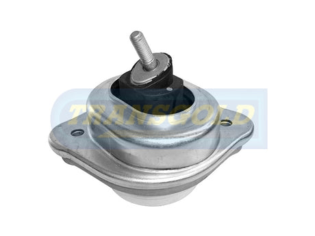 Engine Mount Hydro Fits Meyle BMW E83 X3 Front RH TEM3008 - Transgold