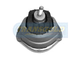 Engine Mount Hydro Fits Meyle BMW E60 Front RH TEM3009 - Transgold