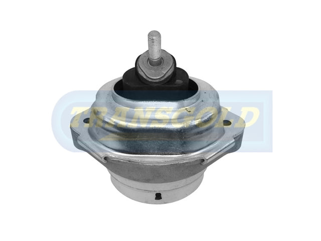 Engine Mount Hydro Fits Meyle BMW X5 Front LH/RH Diesel TEM3013 - Transgold