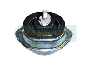 Engine Mount Hydro Fits Meyle BMW X5 Front LH/RH TEM3014 - Transgold