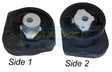 Engine Mount Fits Meyle-BMW X3 Rear TEM3020 - Transgold
