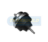 Engine Mount Fits Meyle Peugeot 306 RH Auto TEM3031 - Transgold