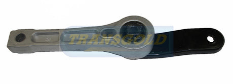 Rear Bar Fits Audi A3 (8P)/Golf V, VI MT TEM3263 - Transgold