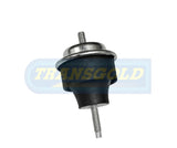 Engine Mount Fits Citroen Xsara/Peugeot 206 RH TEM3281 - Transgold