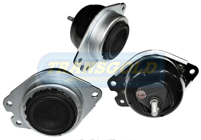 Engine Mount Fits Renault Laguna 02-07 RH TEM3283 - Transgold
