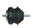 Engine Mount Fits SsangYong Rexton LH/RH Petrol TEM3308 - Transgold
