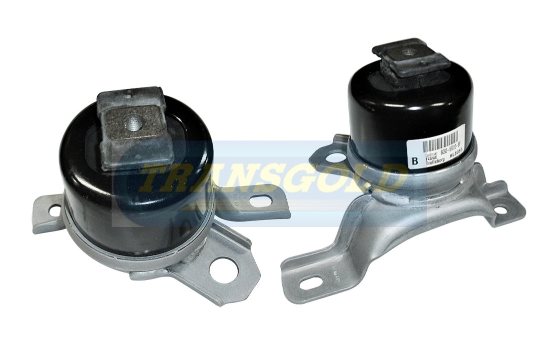 Engine Mount Fits Land Rover Freelander 2 2.2L RH MT TEM3326 - Transgold