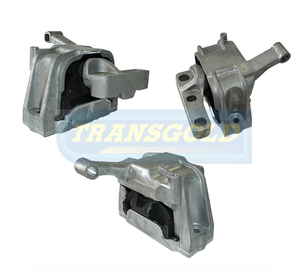 Engine Mount Fits VW Tiguan/Audi Q3 Petrol Right-Hand TEM3357 - Transgold