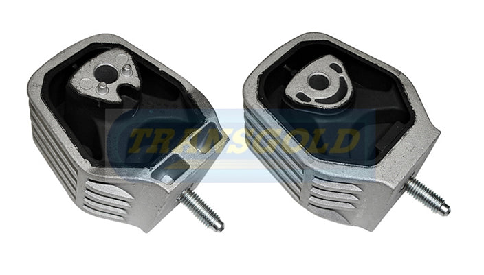 Engine Mount Fits F-LH/RH Diesel for Mercedes A/B Class 05/12 TEM3363 - Transgold | Universal Auto Spares