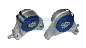 Engine Mount 3.0L Front Fits Holden Captiva (GM Gen) TEM3395 - Transgold