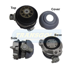 Engine Mount Fits Audi A8 Quattro 2003-2009 Front Right TEM3463 - Transgold