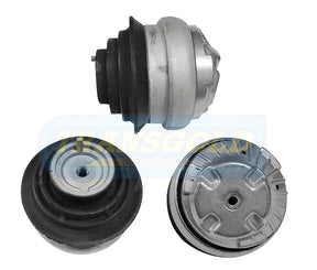 Engine Mount Fits Mercedes C/E-class 6 Cyl Front Right TEM3548 - Transgold