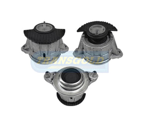 Engine Mount Fits Mercedes E-class W212 Front Left/Right TEM3549 - Transgold
